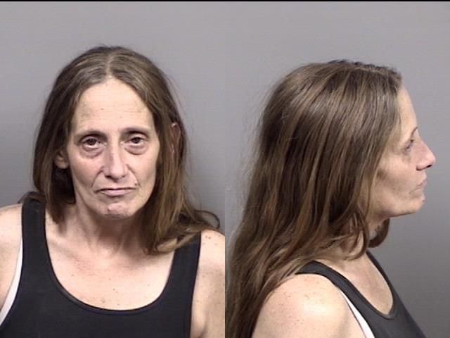 Kelly Ann Lachenmayer